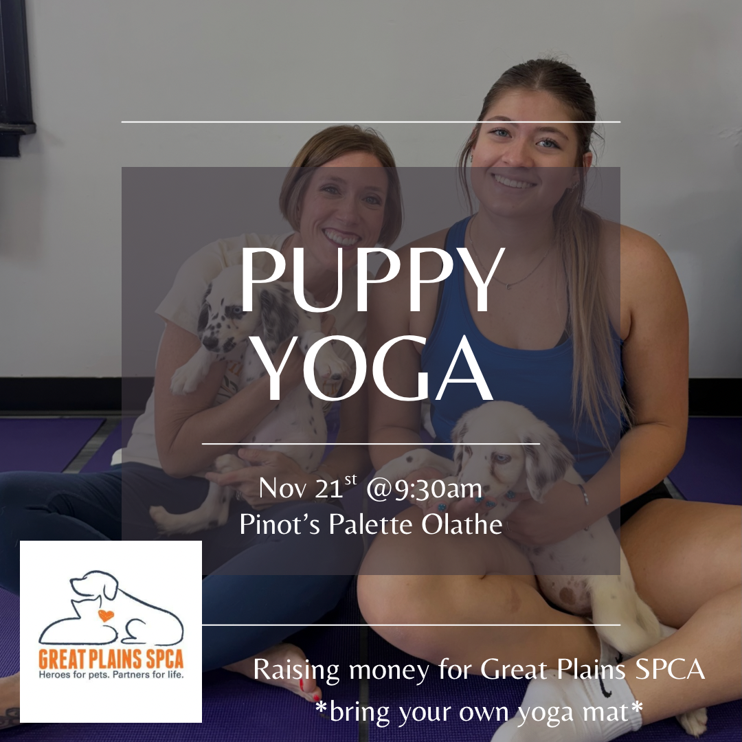 Olathe Puppy Yoga